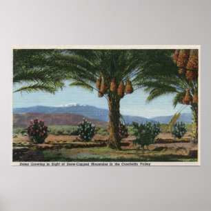 Póster CaliforniaDates que cresce no Coachella