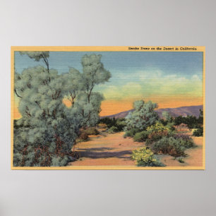 Póster CaliforniaView de árvores de fumo no deserto