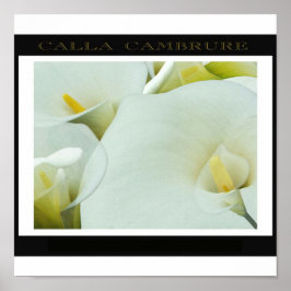 Póster Calla_Cambrure