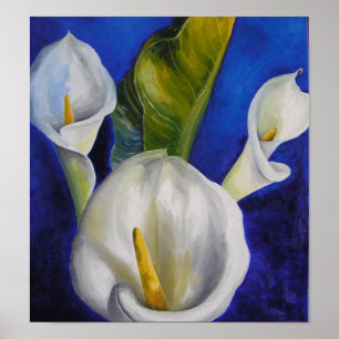 Póster calla lilly