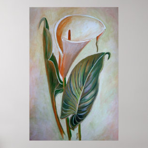 Póster Calla Lily