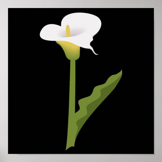 PÓSTER CALLA LILY (Frente)