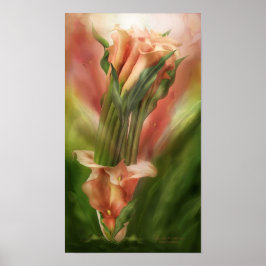 Póster Calla Lily In Calla Vase Art Poster/Impressão