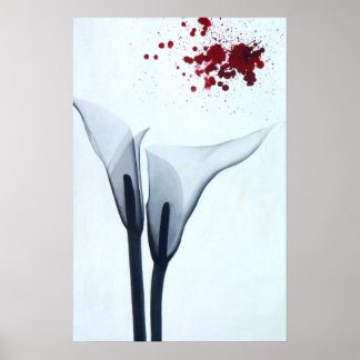 Póster Calla Lily X-ray