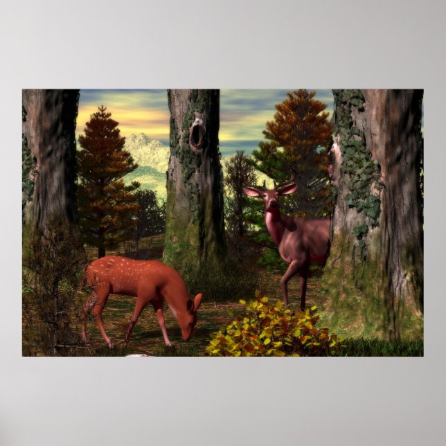 Poster Calm Florestal (Frente)