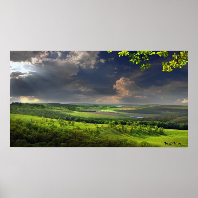 Poster Calm Tarde (Frente)