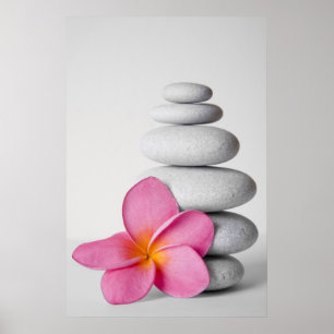 Póster Calma do Frangipani