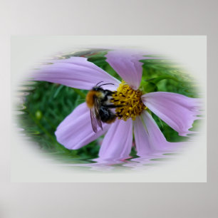 Poster Calor de Verão