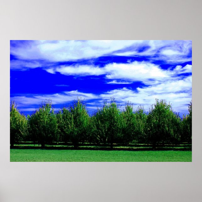 Póster Camadas da Natureza (Frente)