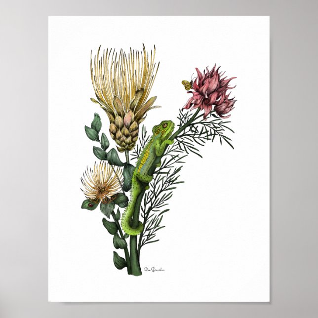 Poster Camaleão-da-Cuta na Protea Buquê Floral Botânica (Frente)