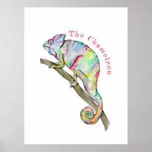 Poster Camaleão engraçado de aquarela
