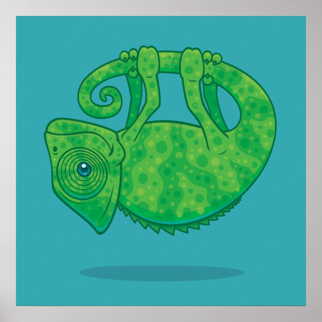 Póster Camaleão mágico (Frente)
