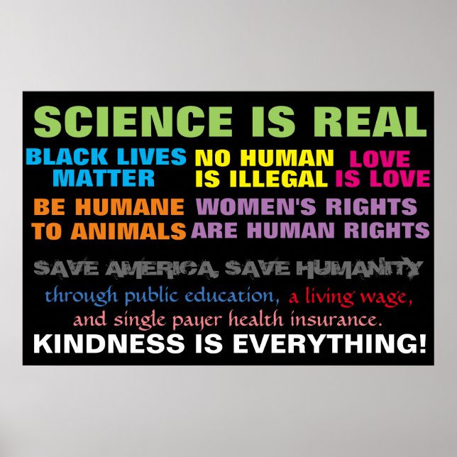 Póster Câmara Municipal de Protesto Marcha Sinal de Direi (Frente)