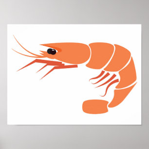 Poster Camarão