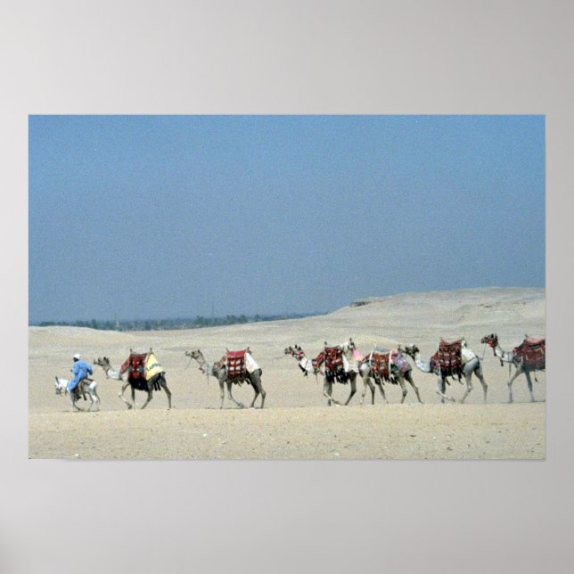 Poster Camel Caravan atravessando o Saara (Frente)