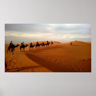 Póster Camel Caravan desert bela paisagem