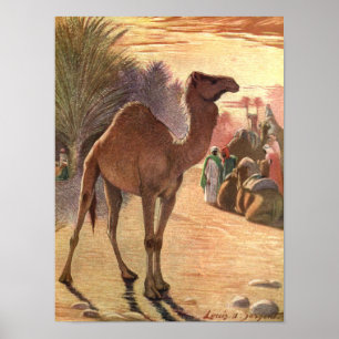 Póster Camel de Louis Sargent, Vintage Wild Animal