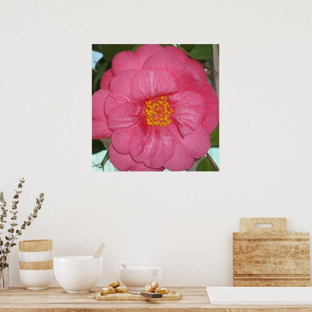 Poster Camélia Rosa Quente Crescendo Em Uma Árvore, (Cozinha)