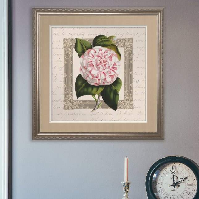 Poster Camellia Chateau Chic Vintage Botânica (Criador carregado)