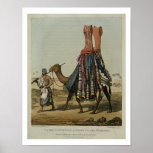 Poster Camelo que transporta uma noiva a seu marido, b