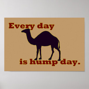 Póster Camelo "Todo Dia é Dia Hump"