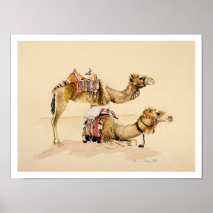 Póster Camelos de PETRA 2007