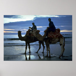 Póster Camels, Marrocos