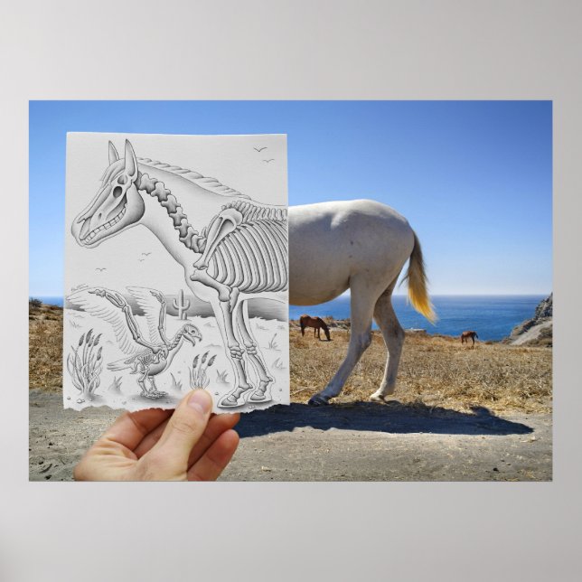 Poster Câmera De Lápis - Raio-X (Frente)