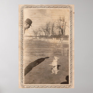 Poster Camera Obscura #351