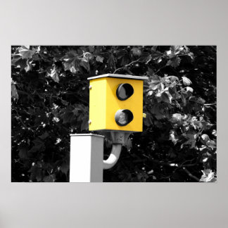 Póster Câmera Speed