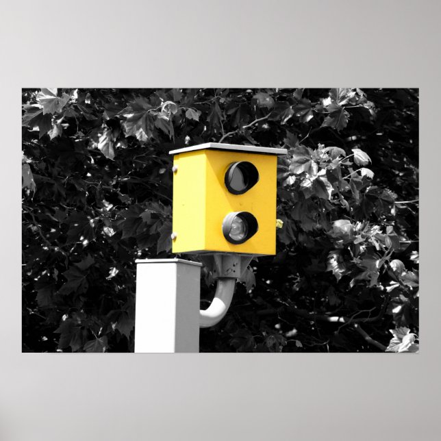 Póster Câmera Speed (Frente)