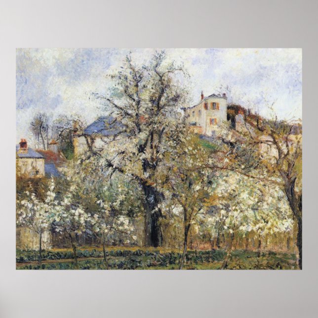Póster Camille Pissarro - pomar com árvores floridas 1877 (Frente)