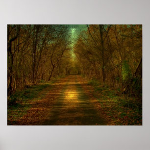 Póster caminhada à lua