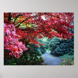 Poster Caminhada Colorida no Jardim de Outono