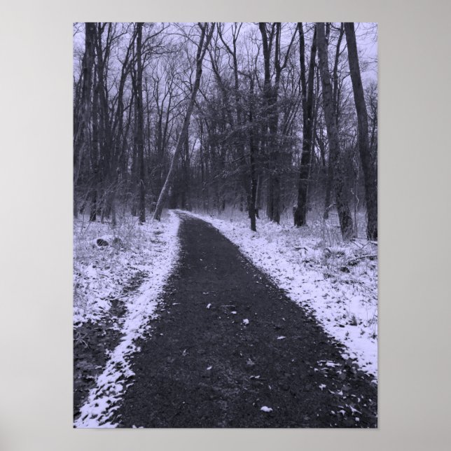 Poster Caminhada de Inverno (Frente)