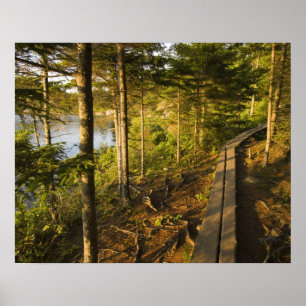 Póster Caminhada de madeira no Parque Nacional de Acadia