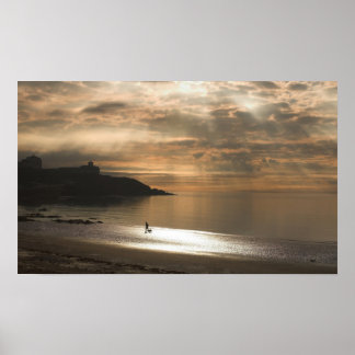 Póster Caminhando o Cachorro na praia de Douglas