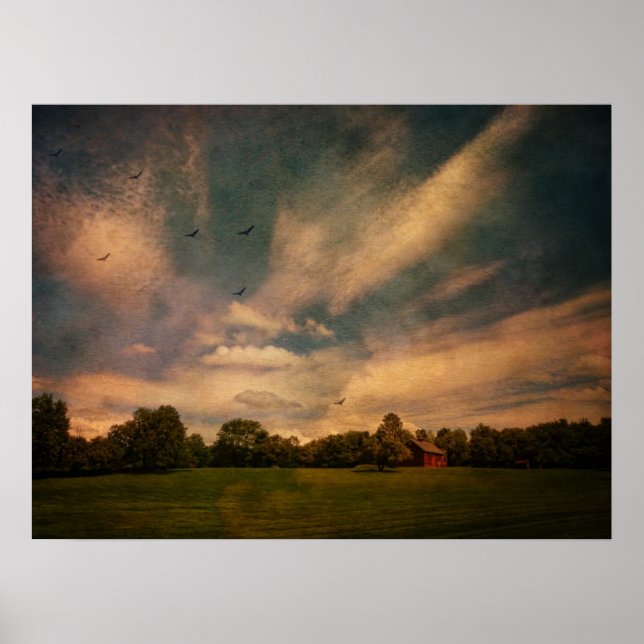 Póster Caminhando pela Fazenda (Frente)