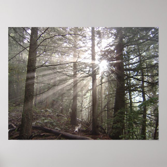 Póster Caminhando pelas nuvens (Frente)