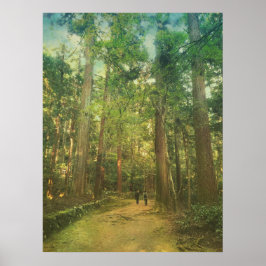 Póster Caminhando pelo Tranquil Floresta Kozan-ji - Kyoto