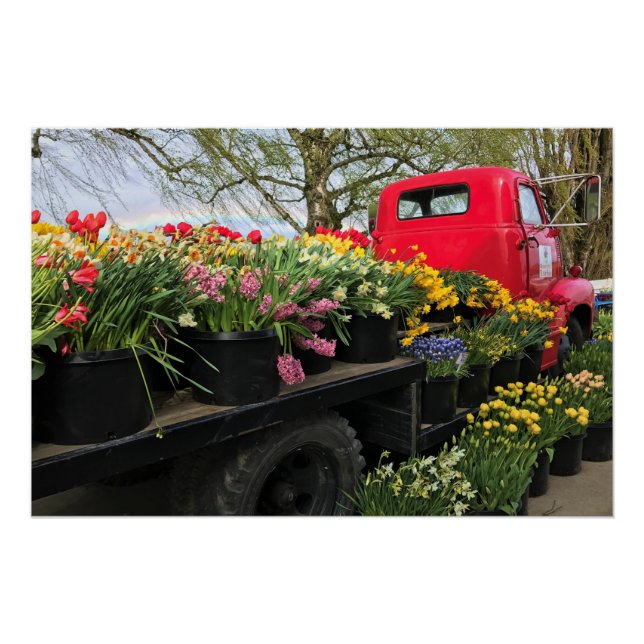 Póster Caminhão Vermelho com Flores de primavera e Arco-Í (Frente)