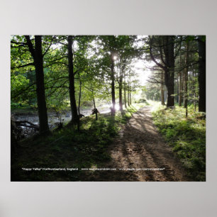 Póster Caminhe Perto do Vale Feliz do Rio, Northumberland