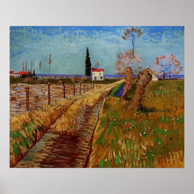 Póster Caminho Através de um Campo, Salgueiros de Vincent (Frente)