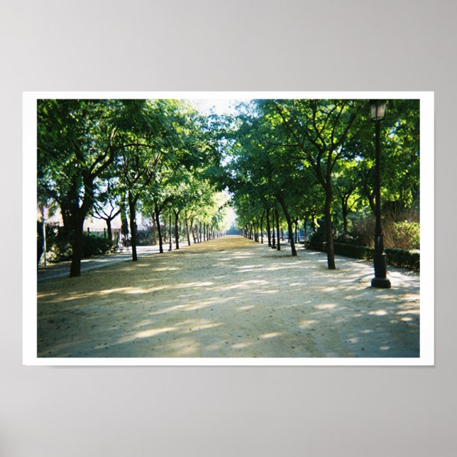 Póster caminho coberto por árvore (Frente)