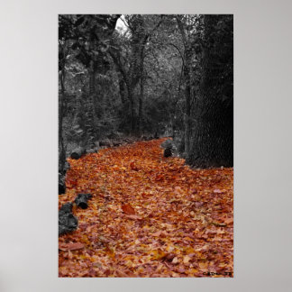 Póster Caminho Colorido