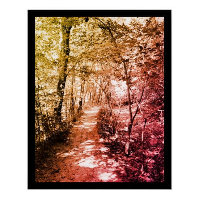 Póster Caminho da Fé (Frente)