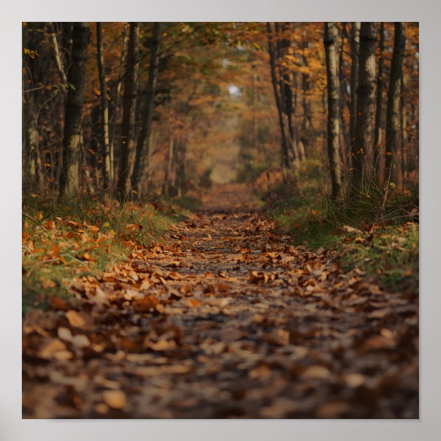 Poster Caminho da Floresta de Outono (Frente)