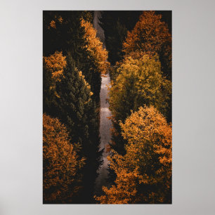Poster Caminho da Floresta do outono