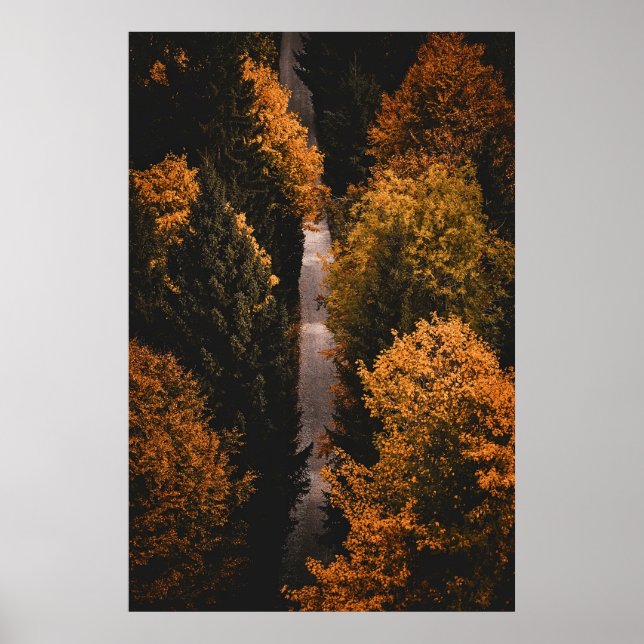Poster Caminho da Floresta do outono (Frente)
