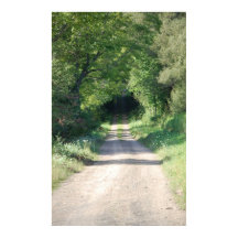 Caminho da floresta ou estrada de terra no lado do